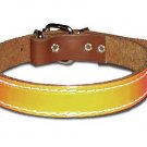 1" DF Bully Reflecto collar