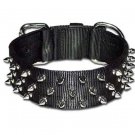 2'' RG Braco Protector