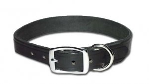 RG Latigo Stitched Collar