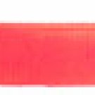 RG Sunglo Collar