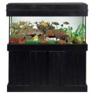 Pine Majesty Canopy 48x13 - black