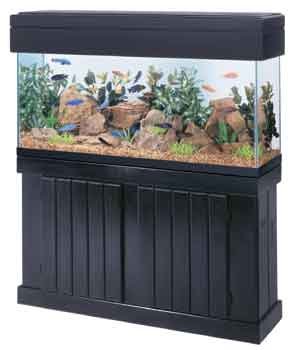 Pine Canopy 48-black