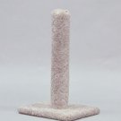 Carpet Cat Post 26
