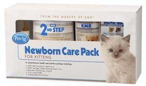 Kitten Care Gift Pack