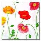 Poppies Floral Paper Beverage Napkins 20 Count
