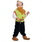 Cute Little Elf  Dress Up Costume Set - Small 4-6