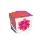 Birthday Party Pails 1/2 Pint Stripe Pizazz - 25 Count