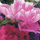 Peony Bloom Floral Beverage Napkins 16ct.