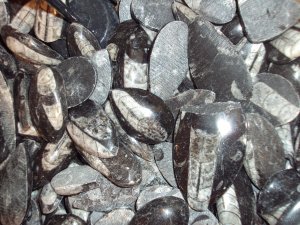 Sharp Rocks