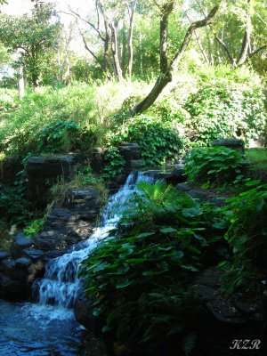Cascade