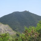 Dark Mountain