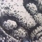 ANCESTORS**ORIGINAL PRINT**SIGNED