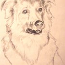CUSTOM PET PAINTING-EXAMPLE -2