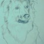 CUSTOM PET PAINTING-EXAMPLE -2