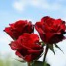 Special Occasion Poetry