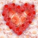 Love Poems