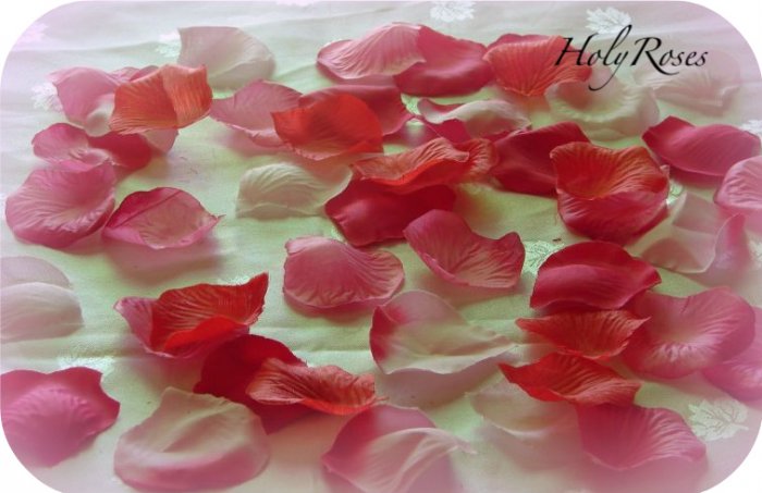 100 Mix of Red and Pink Silk Rose Petals (T) Weddings Crafts