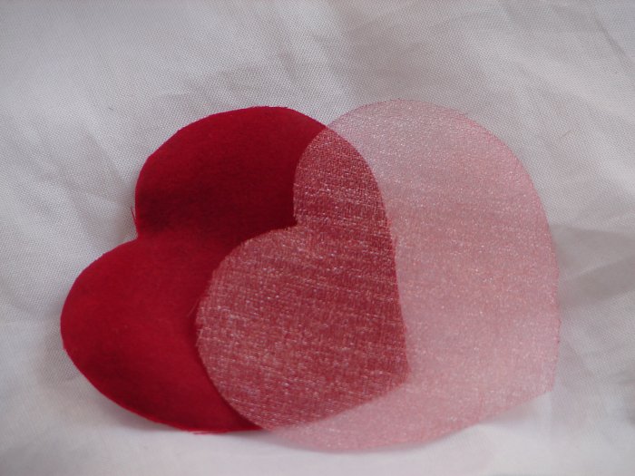 500 Red Heart Silk Rose Petals Weddings Crafts (Large)
