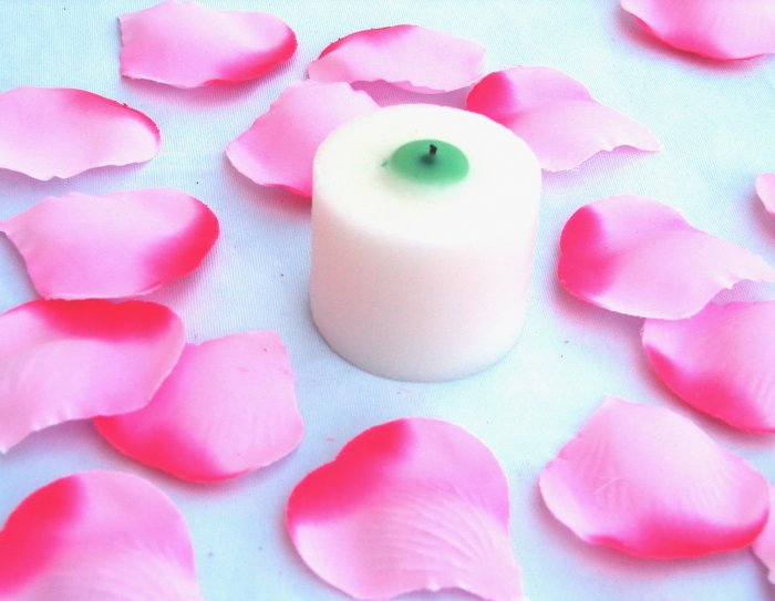 100 Fuscia Two Tone Silk Rose Petals Weddings Crafts (Large)