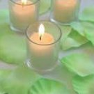 2000 Light Green Silk Rose Petals Weddings Crafts (Large)