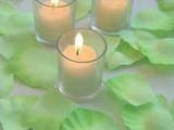 2000 Light Green Silk Rose Petals Weddings Crafts (Large)