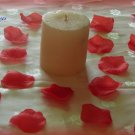 1000 Red Silk Rose Petals (TL) Perfect for Valentine's Day