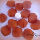 500 Cinnamon Brown Silk Rose Petals Weddings Crafts (Large)