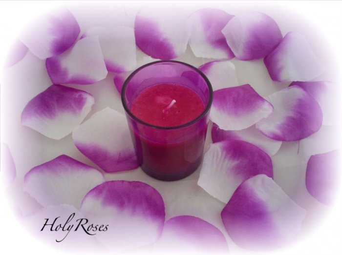 500 White & Deep Fuscia Two Tone Silk Rose Petals Weddings Crafts (Large)