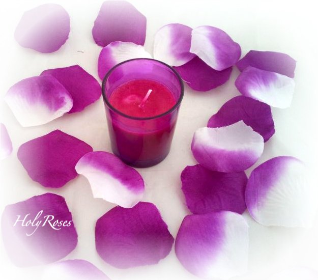 100  Deep Fuscia and Deep Fuscia/White Two Tone Silk Rose Petals Weddings Crafts (Large)