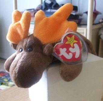 TY Beanie Baby-- Chocolate the Moose 5th Gen