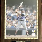 Rico Petrocelli #6 Boston Red Sox Autographed Custom Photo Plaque