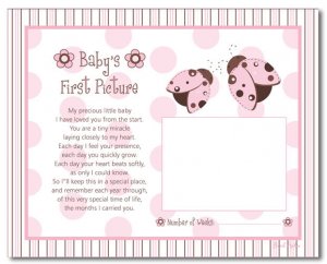 MOD LADYBUGS FLOWERS 8"x10" BABY ULTRASOUND POEM PRINT