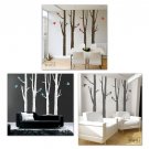 Winter Birch Trees and Birds100inch Tall Vinyl Decal