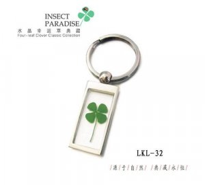 KeyChain-35