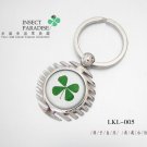 KeyChain-22