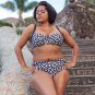Bikini Bottom Full Briefs Plus Size Swimwear New Lauma Beach Panty 05F52