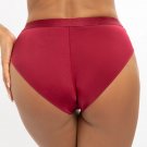 Axami Burgundy Soft Brief Panty NWT Women's Plus Size Semi-Sheer Lingerie V12023 Axami Burgundy Soft Brief Panty NWT Women's Plus Size Semi-Sheer Lingerie V12023