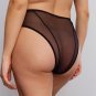 Sheer Mesh High-Waist Brief Panty NWT Women's Lingerie Blush Astrid Black 246330