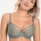 Samanta Mila Sage Lace Plunge Bra NWT Women's Semi-Sheer Green Lingerie A123 Samanta Mila Sage Lace Plunge Bra NWT Women's Semi-Sheer Green Lingerie A123