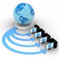 1 Gig of bandwidth allotment