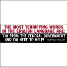 Conservative Bumper Sticker, Decal, Ronald Reagan Quote RRG047