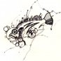 The Fish