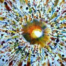 Exploded Sun