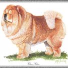 Chow Chow dog canvas art print