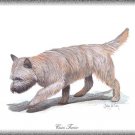 Cairn Terrier dog canvas art print