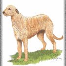 Irish Wolfhound dog canvas art print