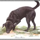 Labrador Retriever dog canvas art print