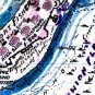 Fort Fisher and vicinity Plan Second Attack North Carolina January 15 1865 Civil War map by Sneden