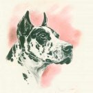 Great Dane dog canvas art print by Diana Thorne