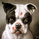 I'm a bad dog! What kind of a dog are you? canvas art print Coolidge